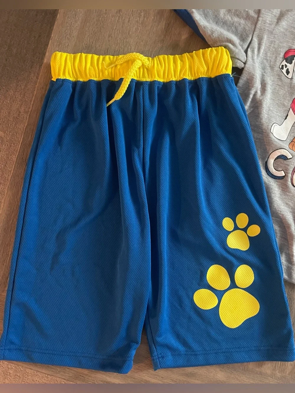 Paw Patrol Heather Grey Tee with Blue Trim